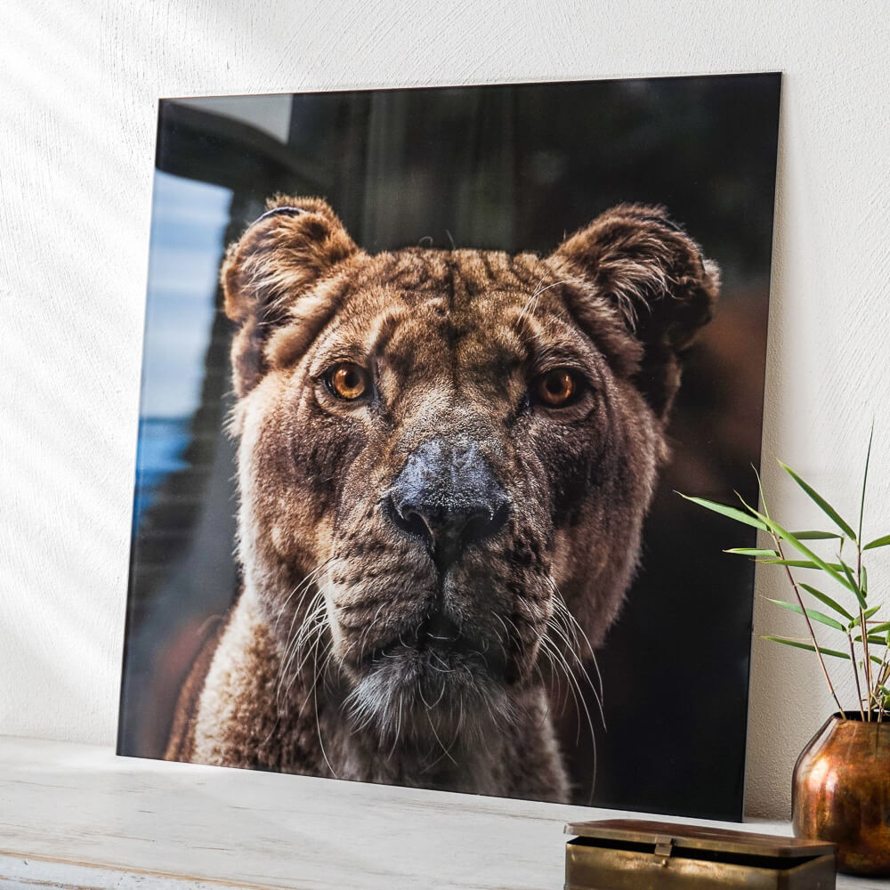 Fotovergroting Glas Square | 1:1 Fotovergroting Glas Instawall Prints