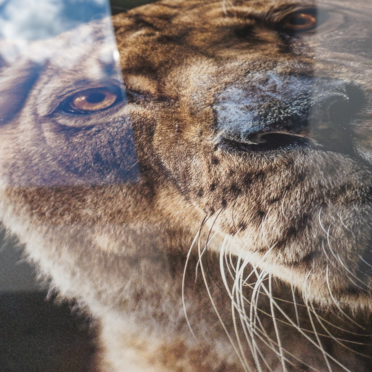 Fotovergroting Glas Landscape | 4:3 Fotovergroting Glas Instawall Prints