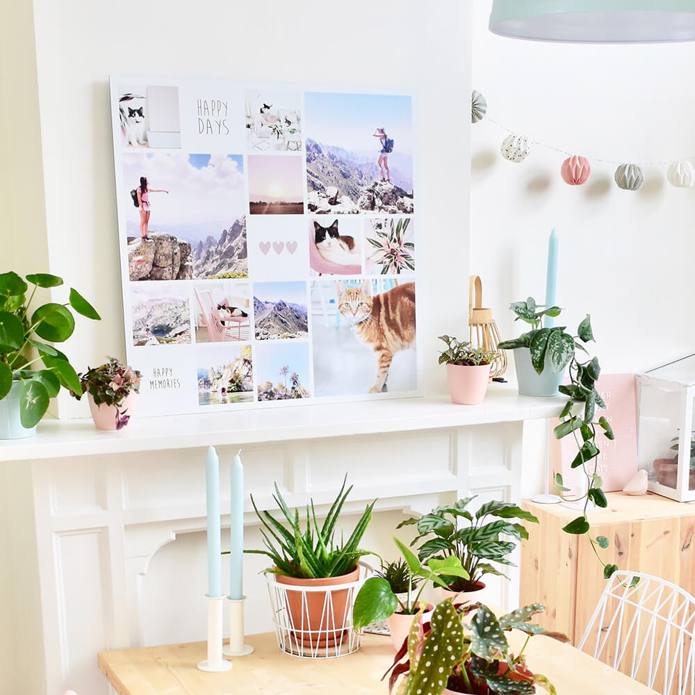 Binnenkijken tussen de planten en pasteltinten in Brugge